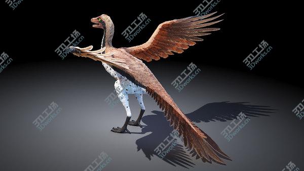 images/goods_img/20210312/Archaeopteryx 3D model/5.jpg